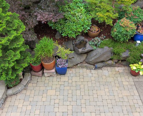 Backyard Landscaping Design