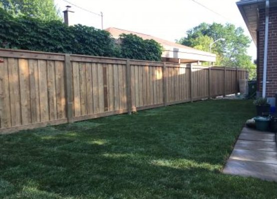 Pressure treated fence contractor