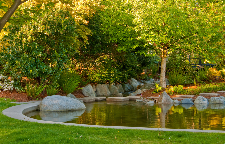 Outdoor landscape garden with pond in North Vancouver, British C