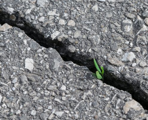 Crack Repair