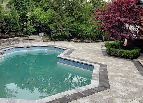 Action Home Services Pool Landscaping