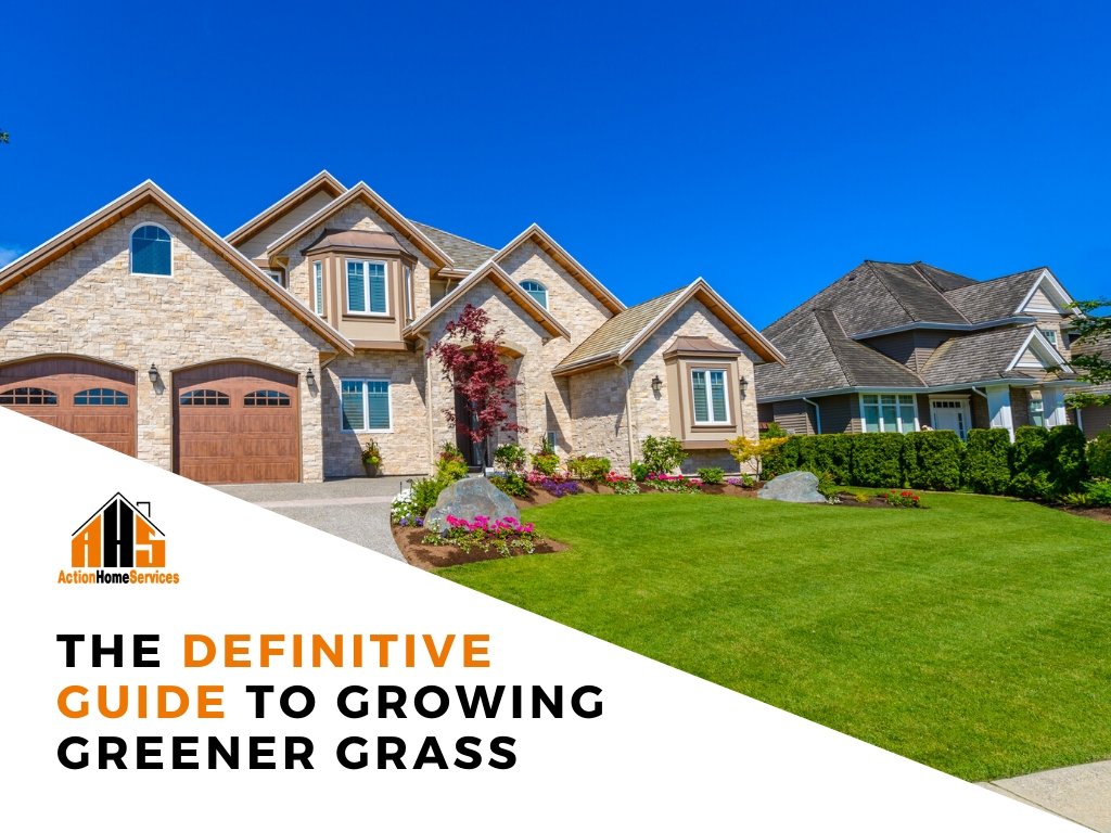 landscaping Toronto guide to growing greener grass