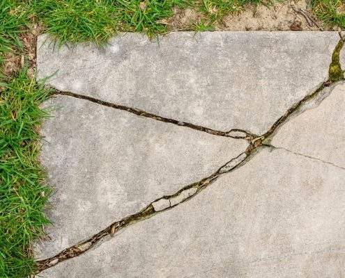 cracked flagstone joint