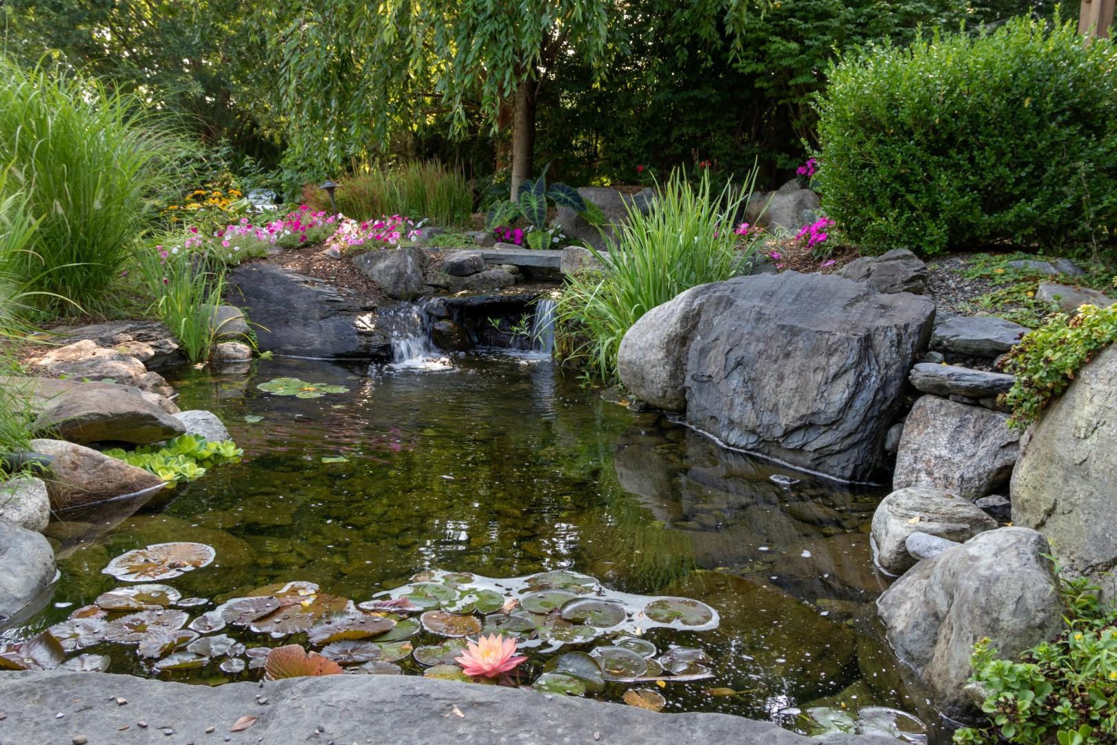 Landscape,Architecture,For,Spring,And,Summer,Garden,Featuring,Koi,Pond