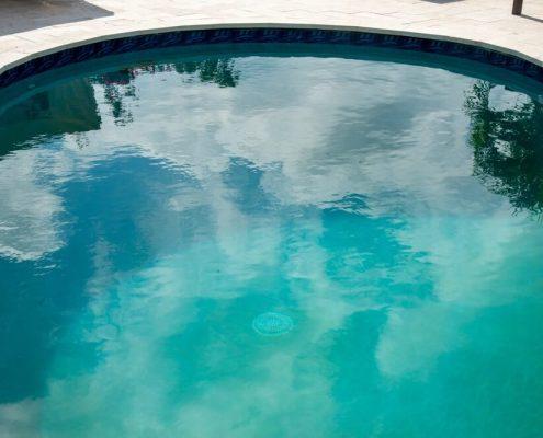backyard pludge pool and landscaping services
