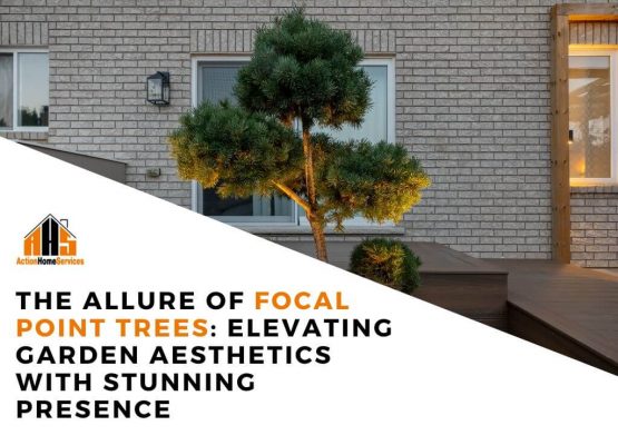 Focal point trees