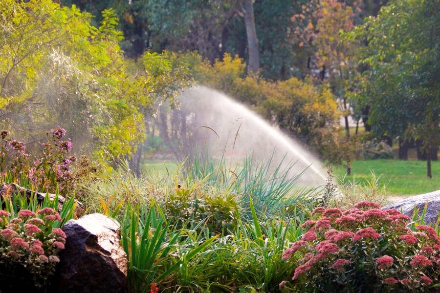Irrigation system in park