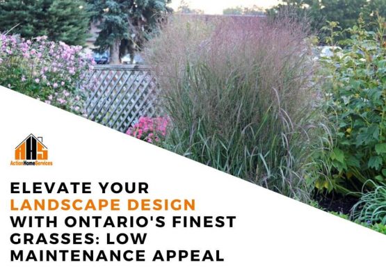 Ontarios native grasses landscape design