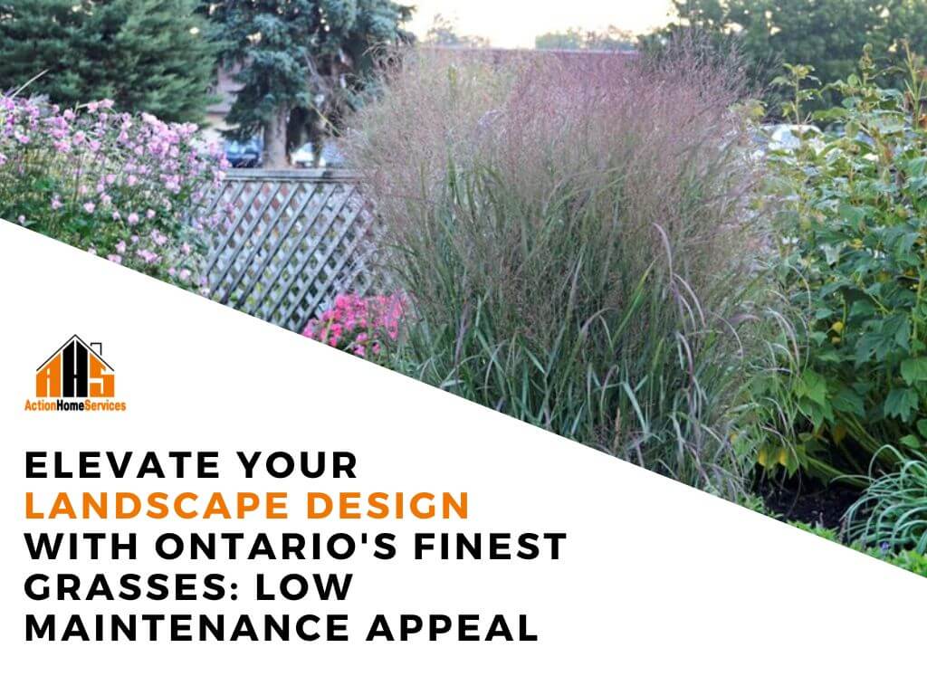 Ontarios native grasses landscape design