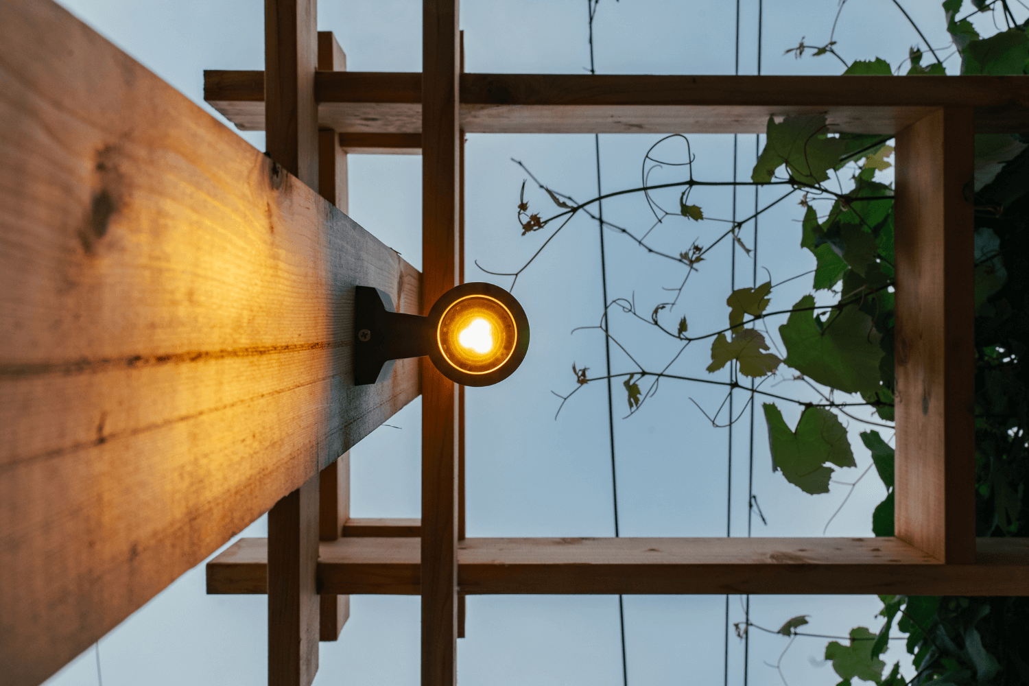 professional backyard lighting installers