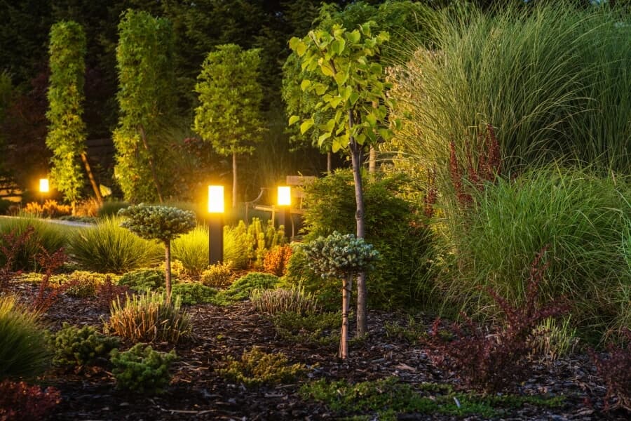 Backyard garden lights