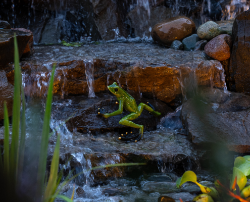 natural rock waterfall interlocking Mississauga (2)