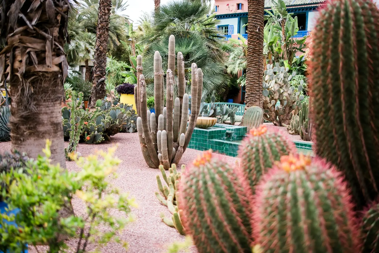 is xeriscaping good for ontario gardens