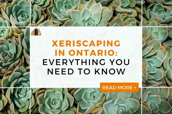 xeriscaping in ontario from experts