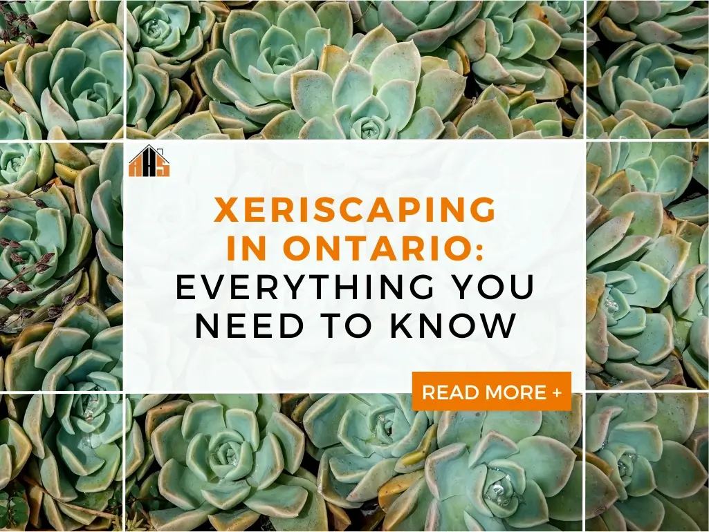 xeriscaping in ontario from experts