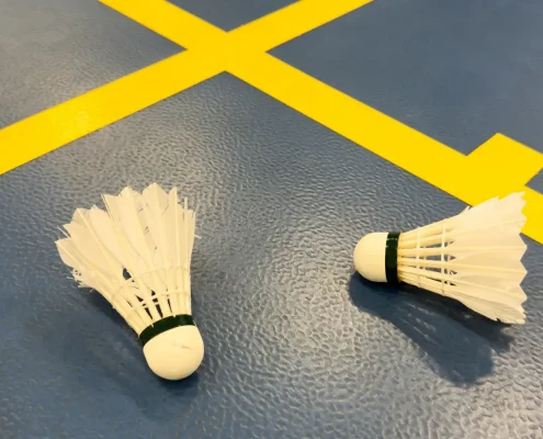 backyard badminton court installation backyard badminton court installation