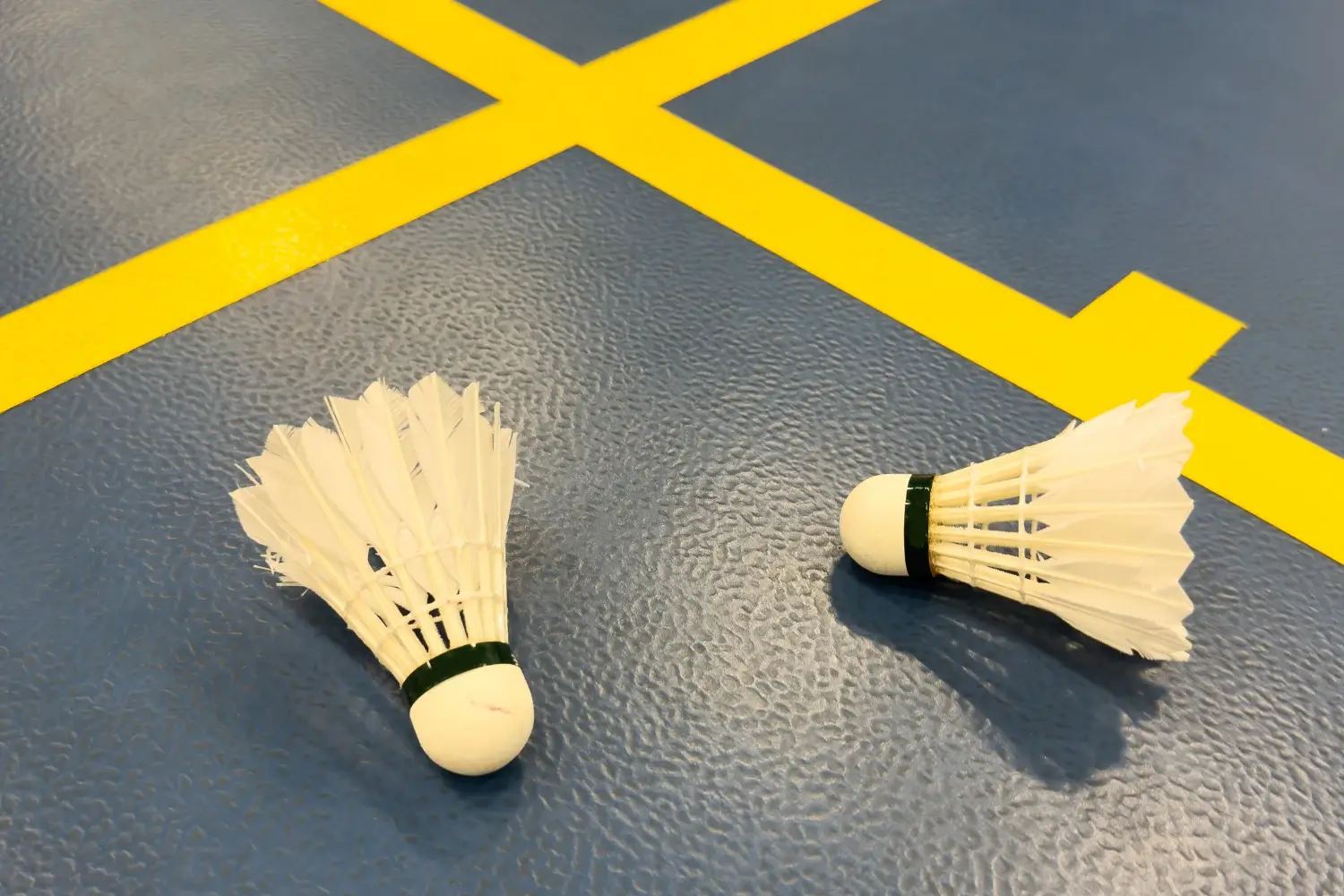 backyard badminton court installation