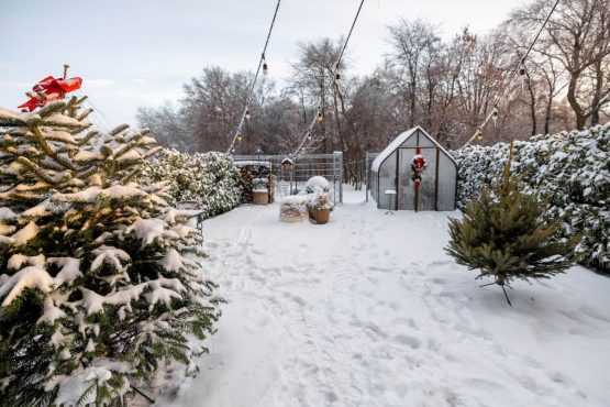 how to protect your landscape from freeze