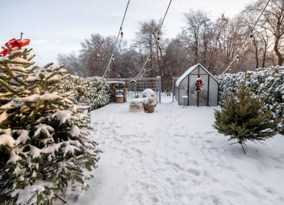 how to protect your landscape from freeze